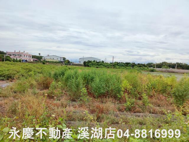 埔心農地-7