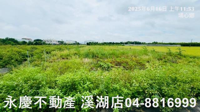 埔心農地-8