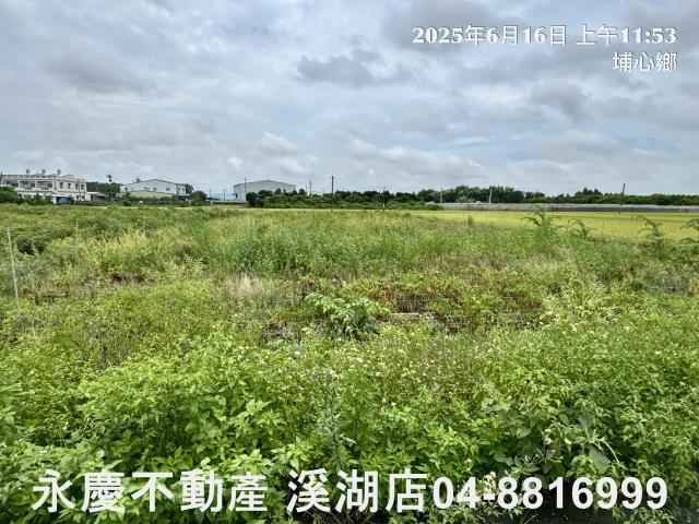 埔心農地-9