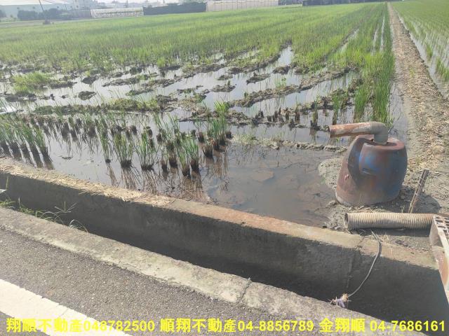 埔鹽農地-14
