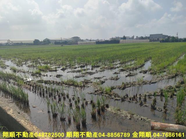 埔鹽農地-5