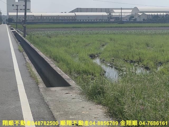 埔鹽農地-9