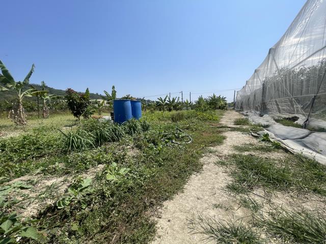 岡山農地-12