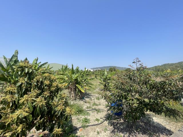 岡山農地-14