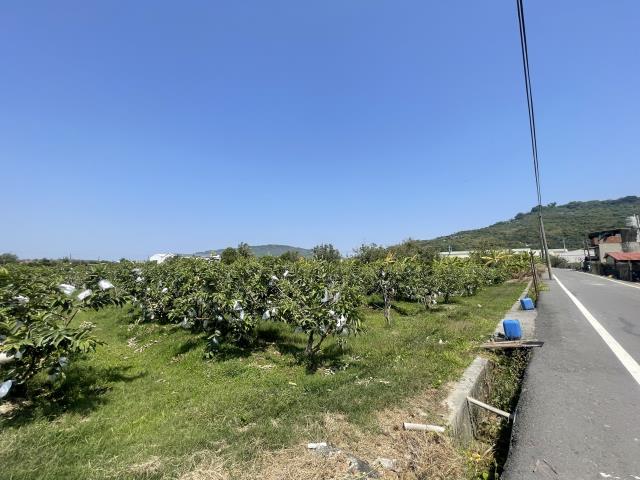 岡山農地-3