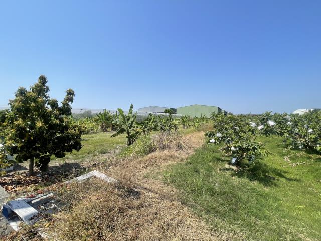 岡山農地-4