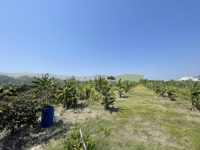 岡山農地-5