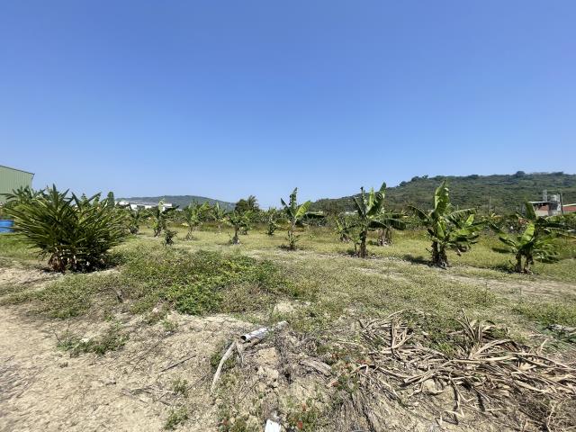 岡山農地-6