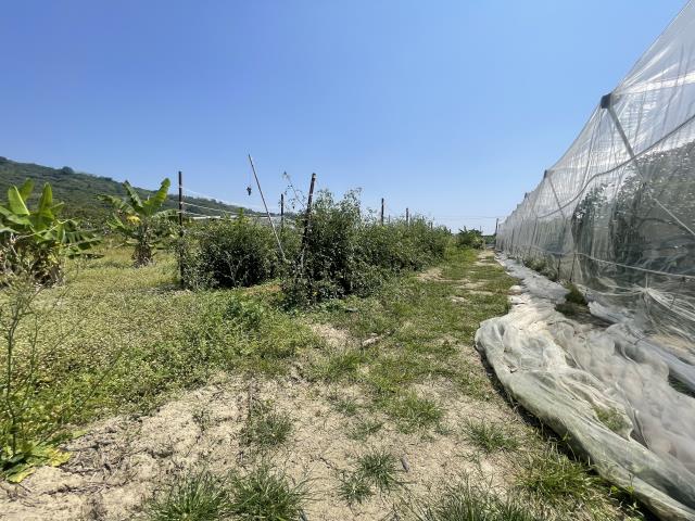 岡山農地-8