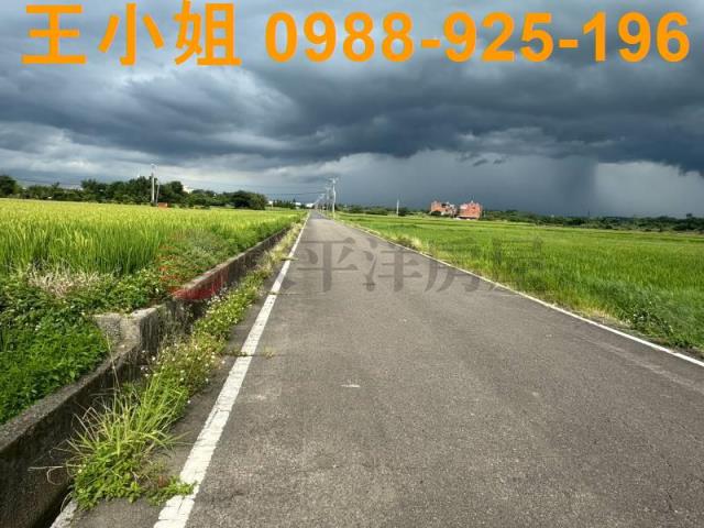 新屋農地-2