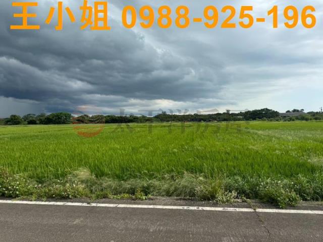 新屋農地-9