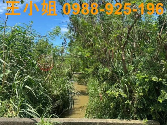 新屋農地-7
