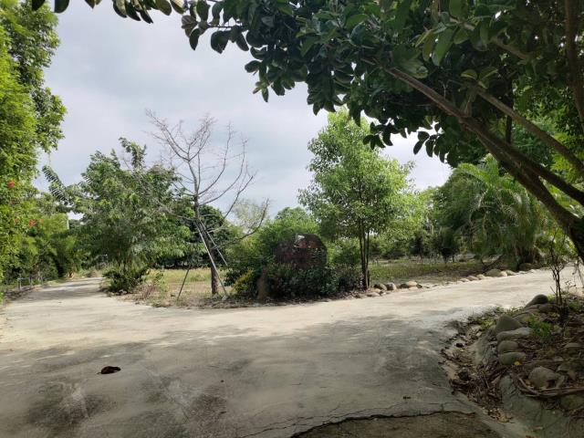 田寮農地-11