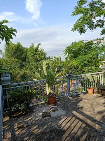 田寮農地-5