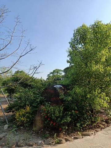 田寮農地-6