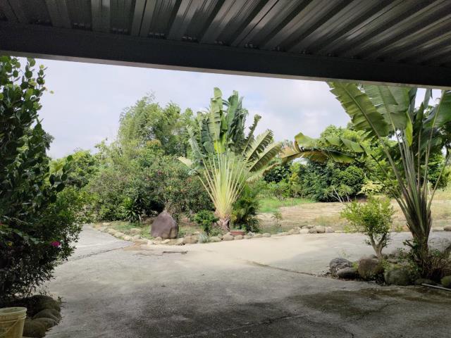 田寮農地-7