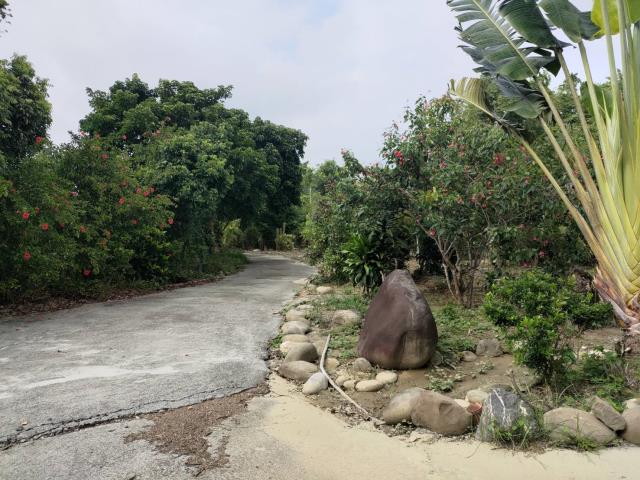 田寮農地-8