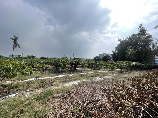 岡山農地-15