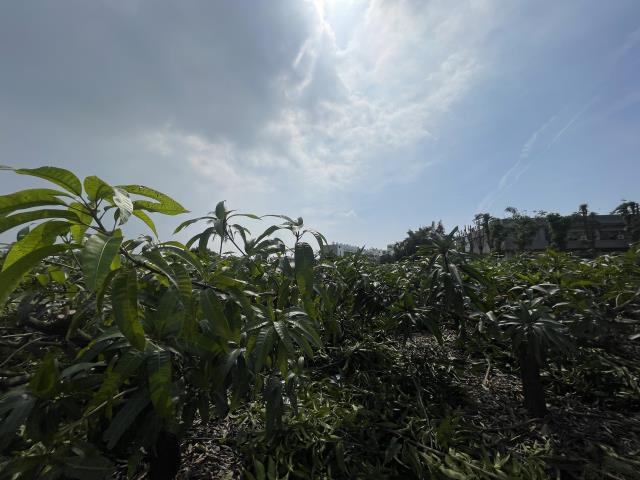 岡山農地-3