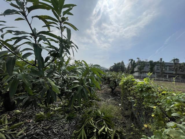 岡山農地-5