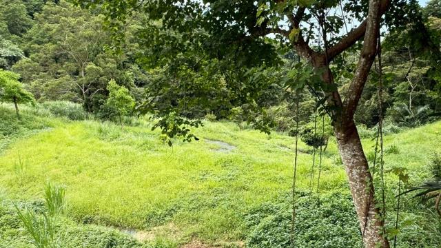 苗栗南庄農地-10