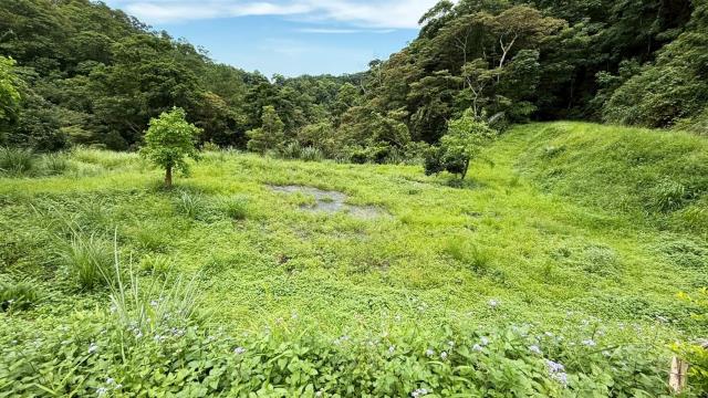 苗栗南庄農地-12
