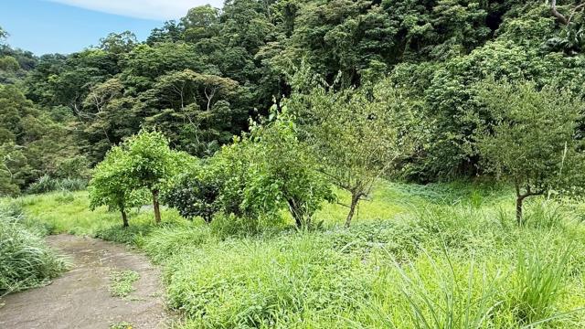 苗栗南庄農地-14