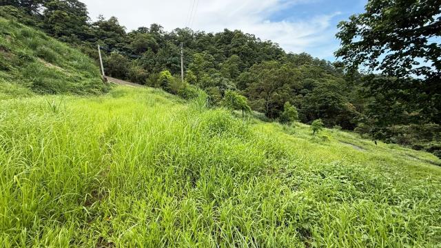 苗栗南庄農地-15