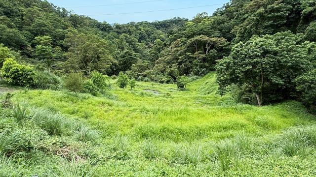 苗栗南庄農地-3