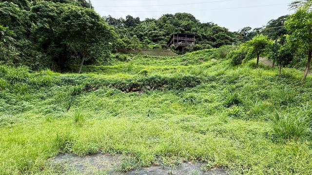 苗栗南庄農地-4