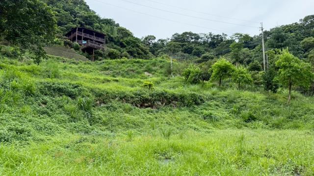 苗栗南庄農地-5