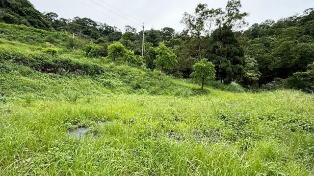 苗栗南庄農地-6