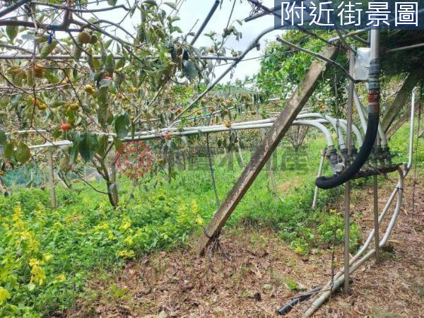 新竹新埔農地-1