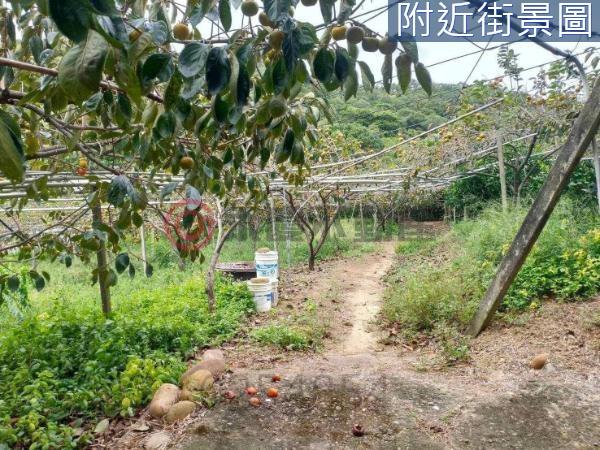 新竹新埔農地-2