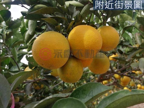 新竹新埔農地-9