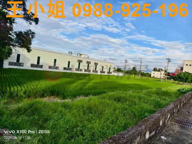 桃園大園農地-1