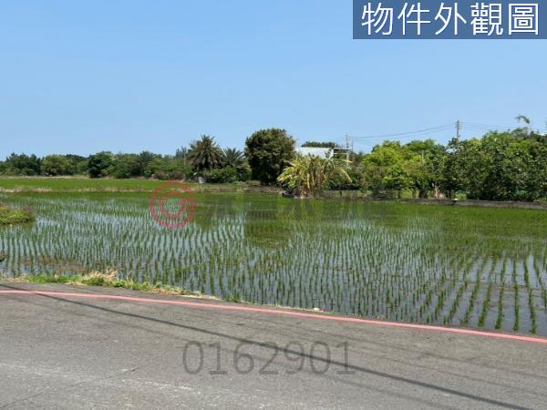 新竹北區農地-8