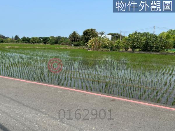 新竹北區農地-9