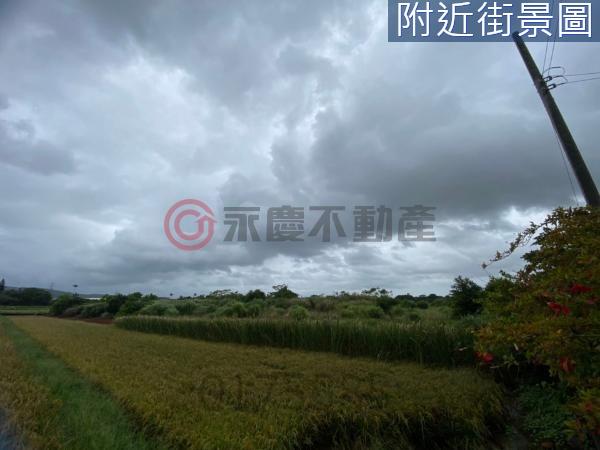 桃園楊梅農地-5