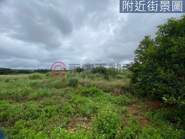 桃園楊梅農地-6