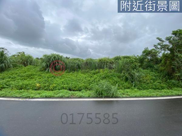 桃園楊梅農地-9