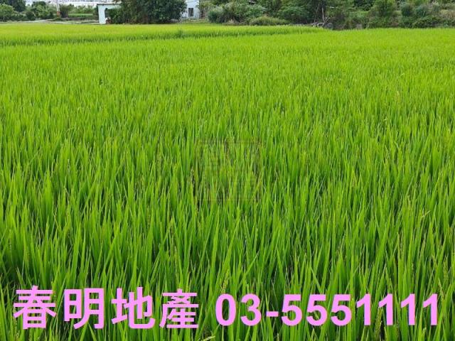 新竹農地-2
