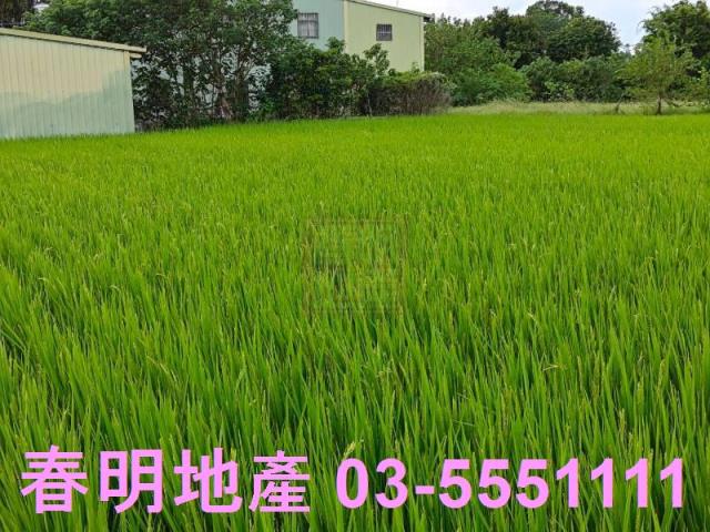 新竹農地-3