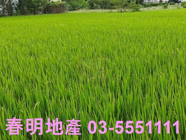 新竹農地-4