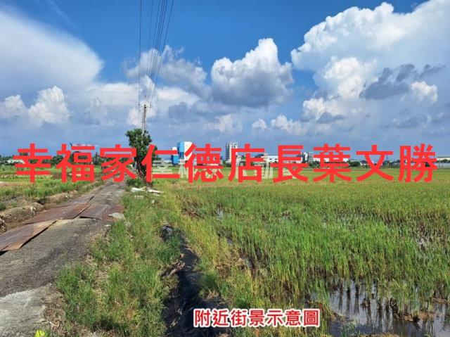 台南善化農地-8