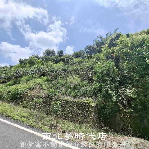 台南楠西農地-1