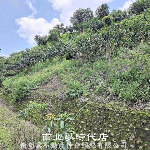 台南楠西農地-2
