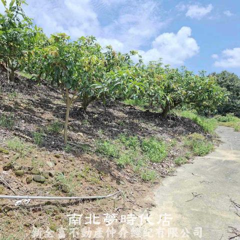 台南楠西農地-5
