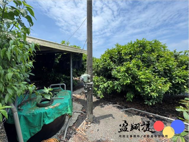 屏東佳冬農地-6
