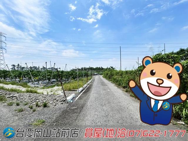 屏東新埤農地-1